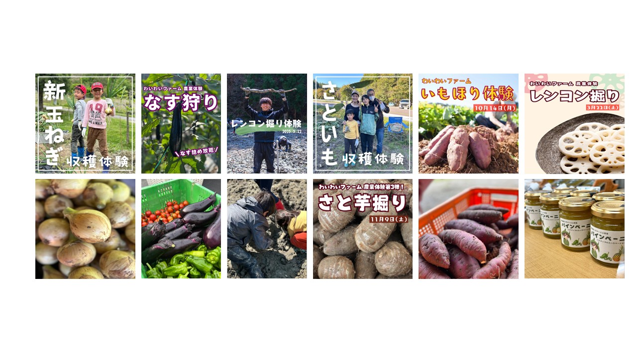 株式会社ワイズ_インキュベーションラボ_アグリ課